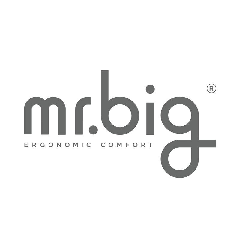 MR.BIG PILLOW