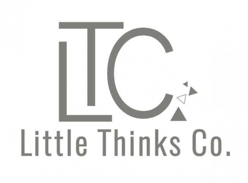 LITTLE THINKS CO