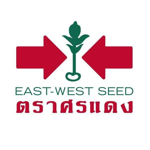 ศรแดง