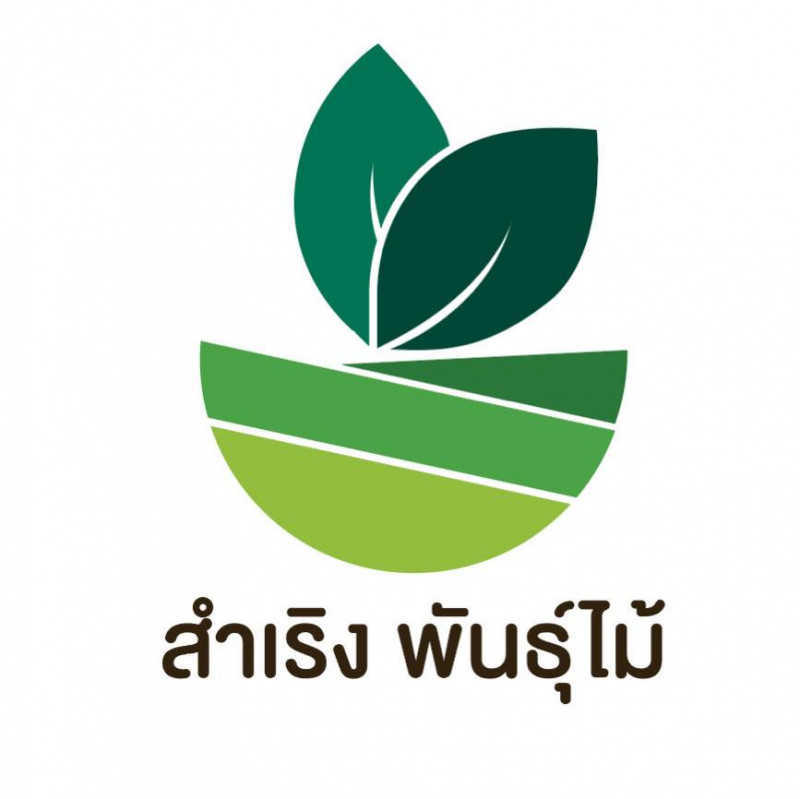 สำเริง พันธุ์ไม้