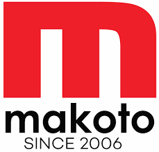MAKOTO, MISTER ROBOT