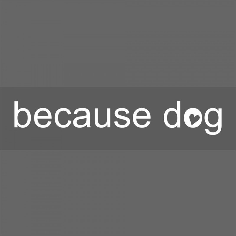 because dog