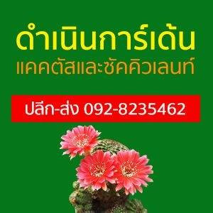 ดำเนินการ์เด้น